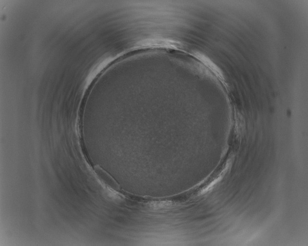 X0000074040893200608281442