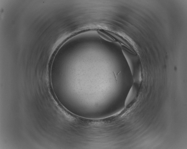 X0000074040894200608281442