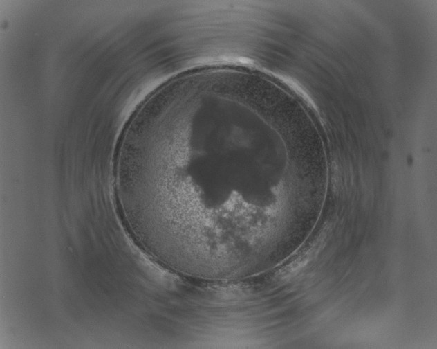 X0000074040895200608281442