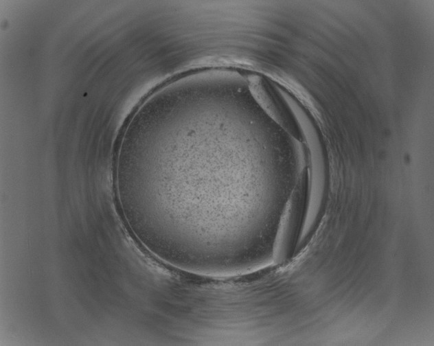 X0000074040896200608281442