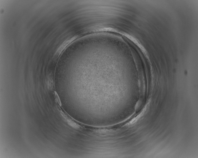 X0000074040897200608281442