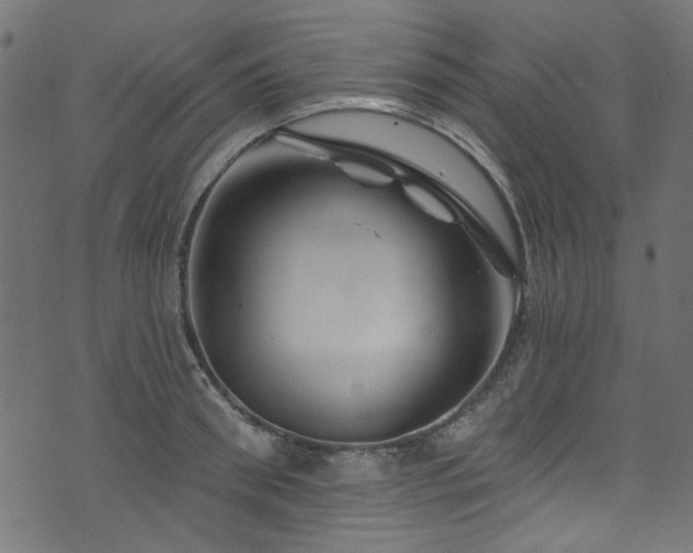 X0000074040898200608281442