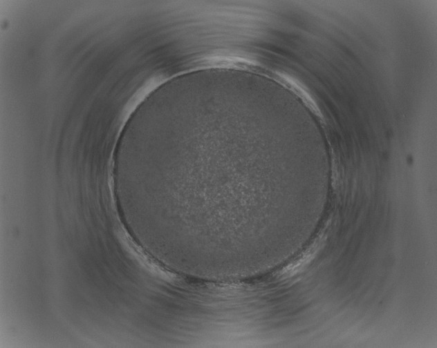 X0000074040899200608281442