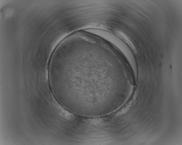 X0000074040900200608281442