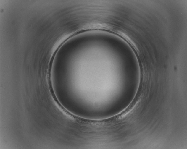 X0000074040901200608281442