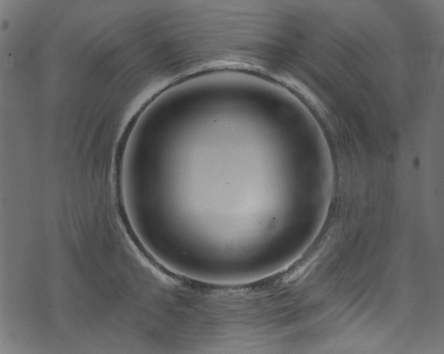 X0000074040902200608281442