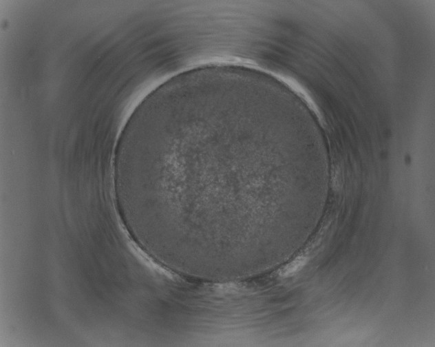 X0000074040903200608281441