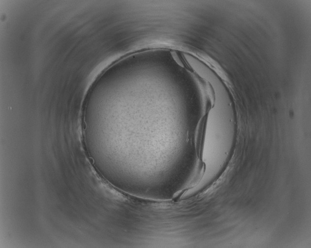 X0000074040904200608281441