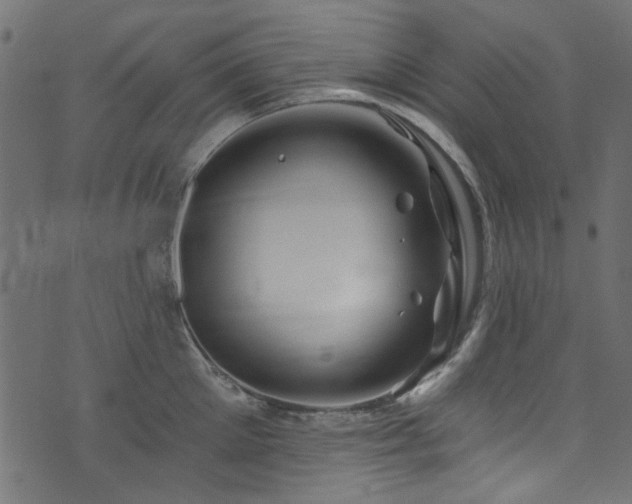 X0000074040905200608281441