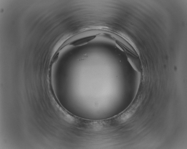 X0000074040906200608281441