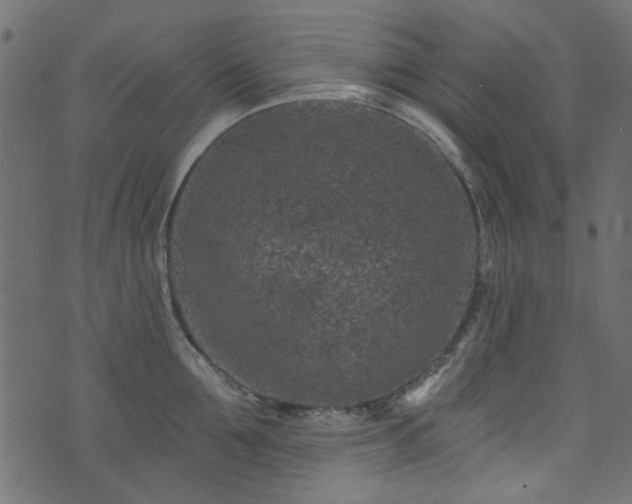 X0000074040907200608281441