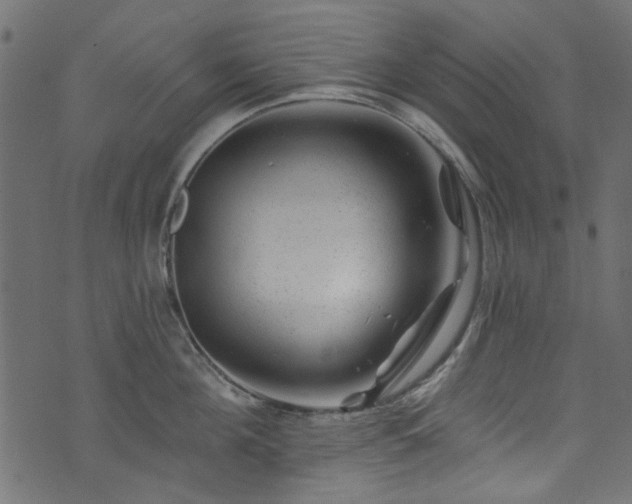 X0000074040908200608281441