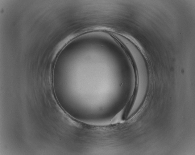 X0000074040910200608281441