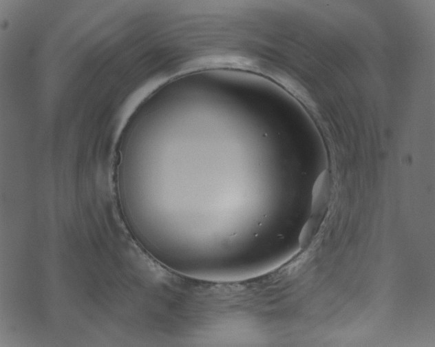 X0000074040912200608281441