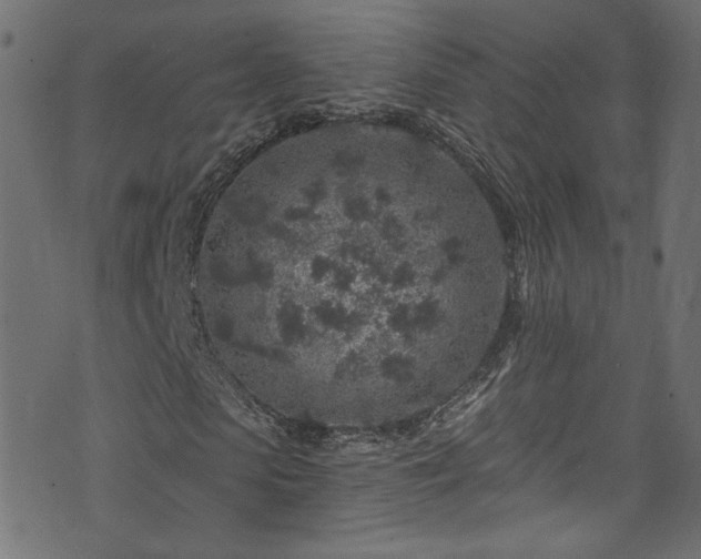 X0000074040913200608281441