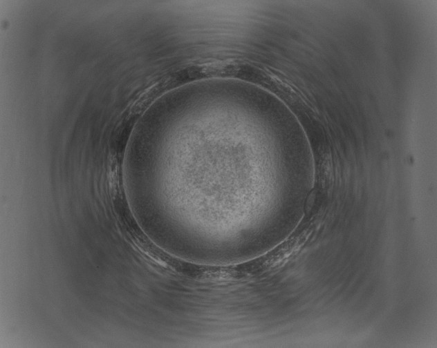 X0000074040914200608281441