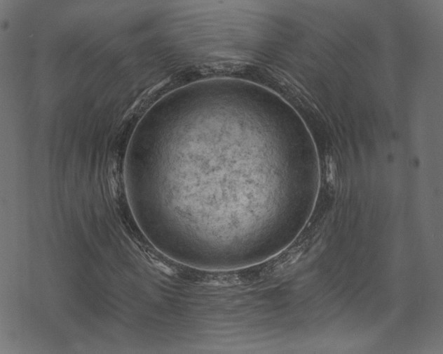 X0000074040915200608281441