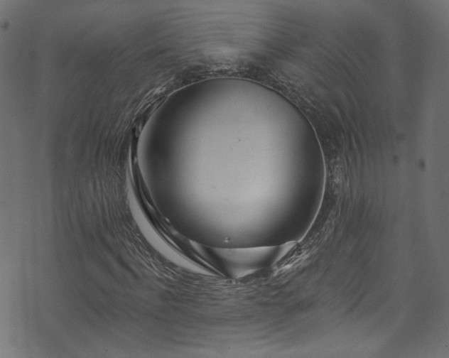 X0000074040916200608281441