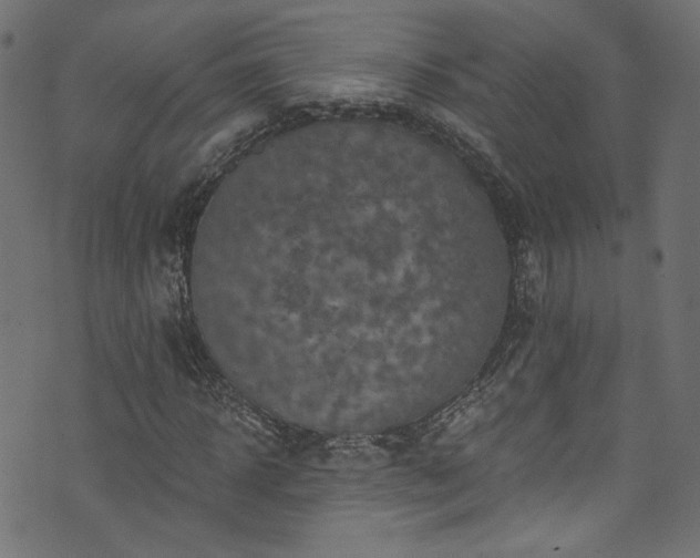 X0000074040918200608281441