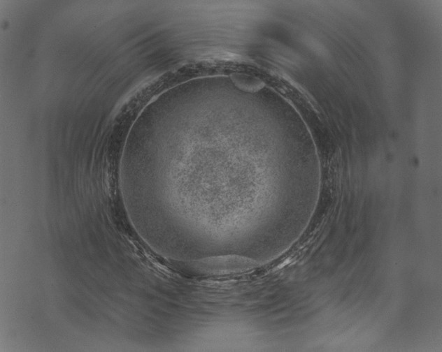 X0000074040919200608281441