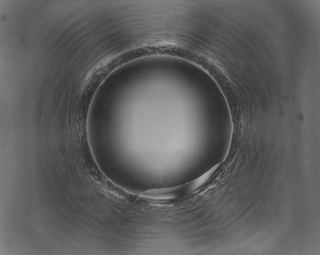 X0000074040920200608281441