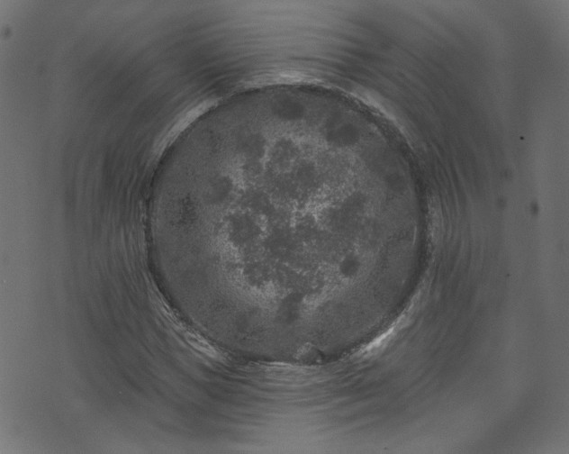 X0000074040921200608281441