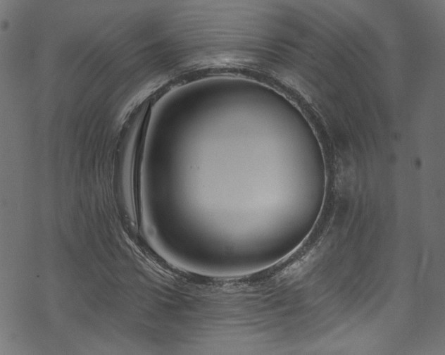 X0000074040922200608281441