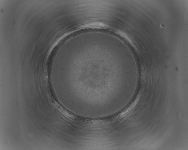 X0000074040923200608281441