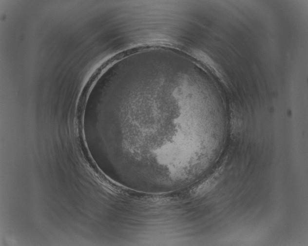 X0000074040924200608281441