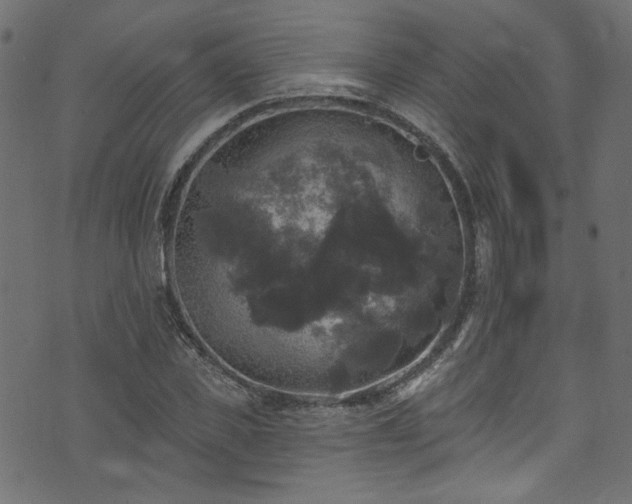 X0000074040925200608281441