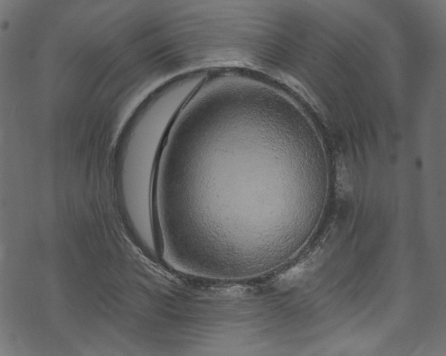 X0000074040926200608281441