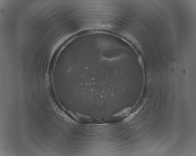 X0000074040928200608281441