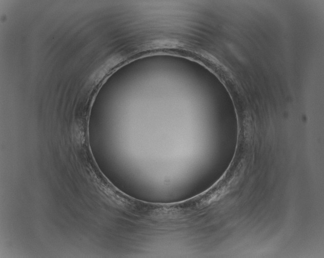 X0000074040929200608281441