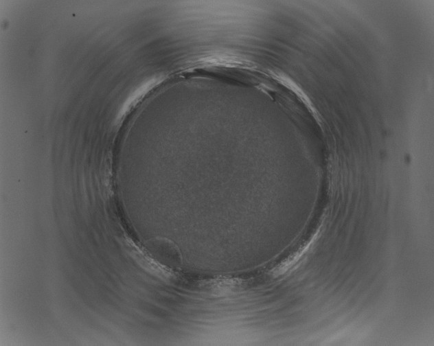 X0000074040930200608281441