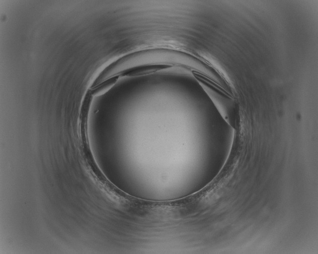 X0000074040932200608281441