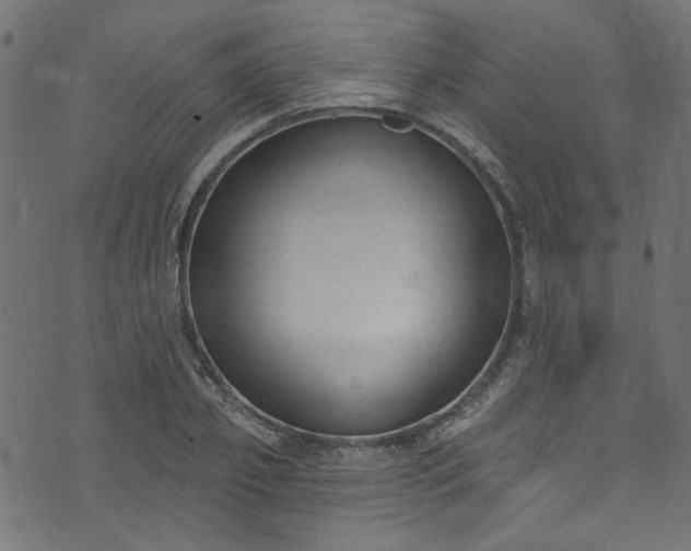 X0000074040933200608281441