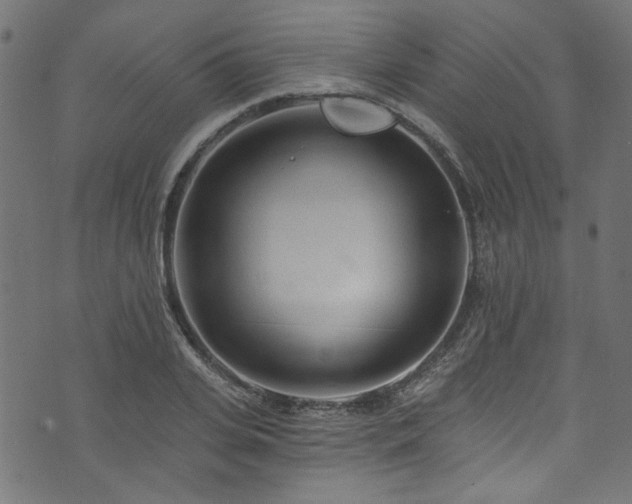 X0000074040935200608281441