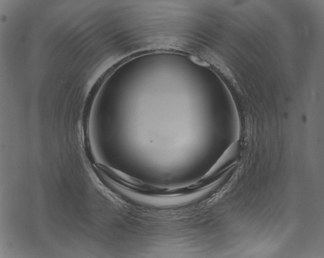 X0000074040936200608281441