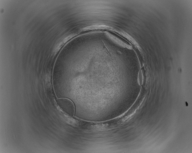 X0000074040937200608281441