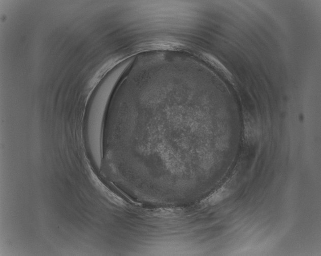 X0000074040938200608281441