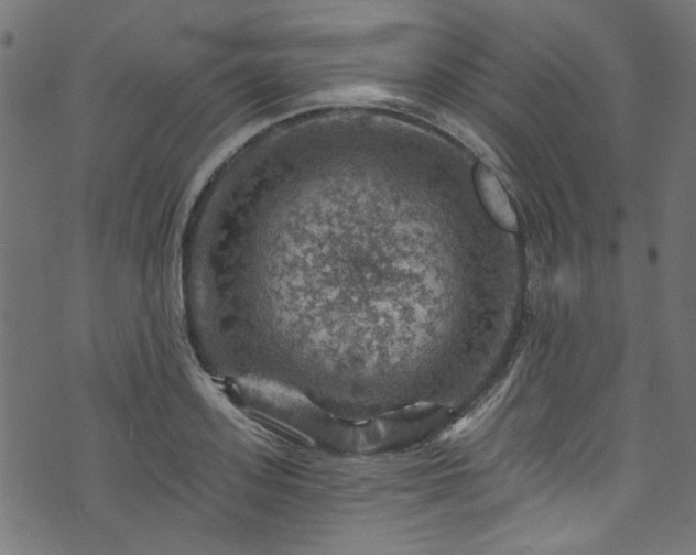 X0000074040939200608281441