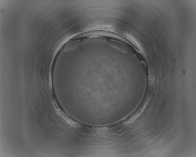 X0000074040940200608281441