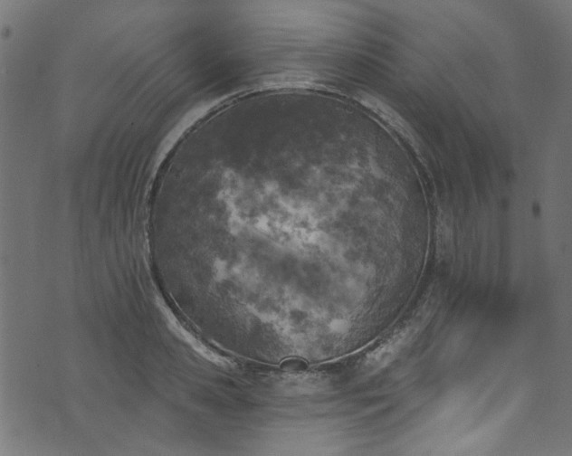 X0000074040941200608281441