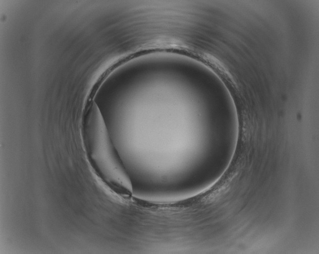 X0000074040942200608281441