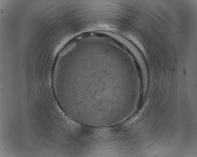 X0000074040944200608281441