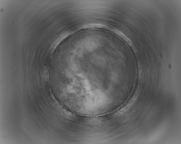 X0000074040945200608281441