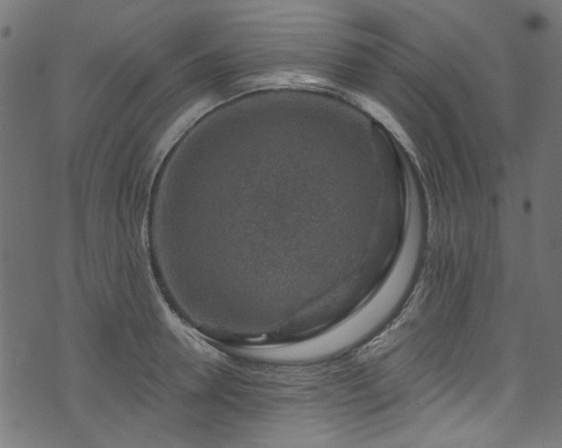 X0000074040946200608281441