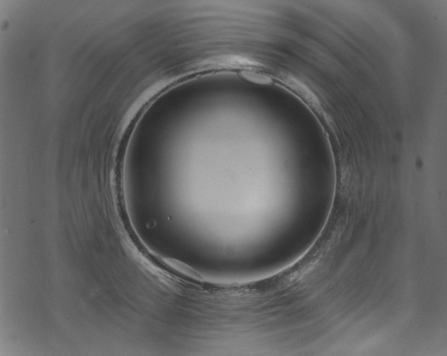 X0000074040947200608281441