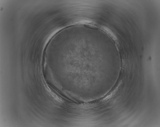 X0000074040948200608281441