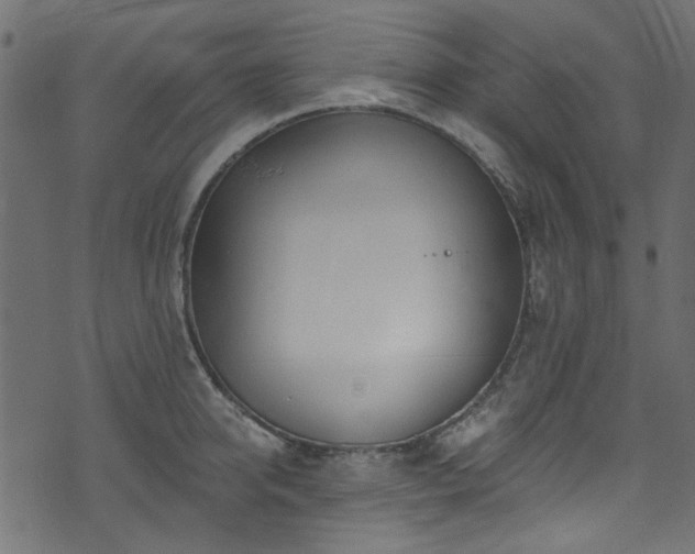 X0000074040950200608281441